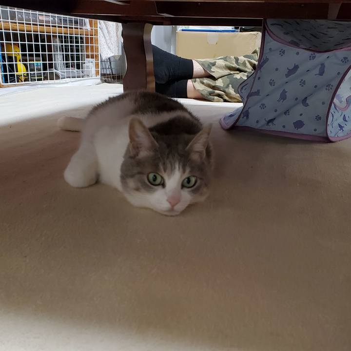 Ef992971 b55c 419e b3ee 82566af20441 1704384217760