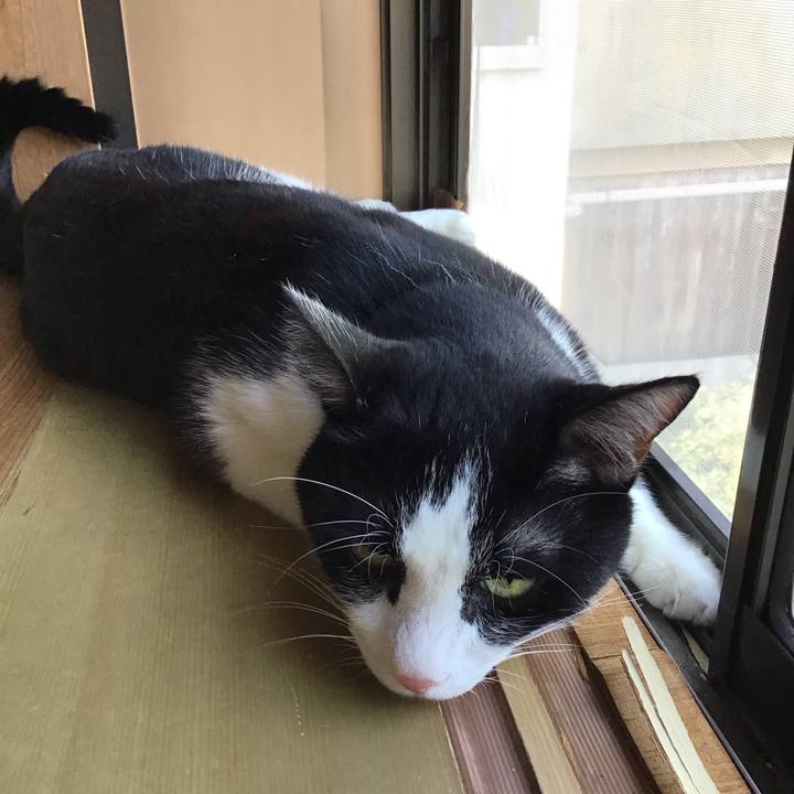 Ef992e1f a316 46eb a7cd 6f57ece1a6b9 1758104712286