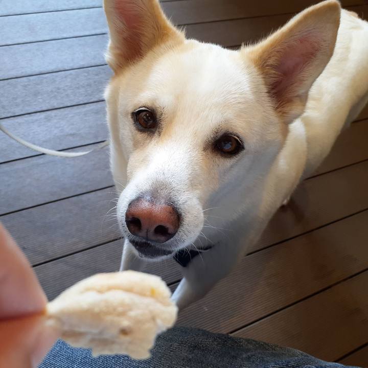 Ef99355d 00d2 49e4 bd34 1ba6fa4d111f 1694713545982