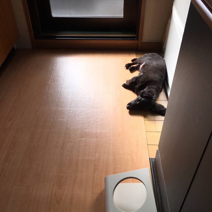 Ef9948d9 f2ac 4134 8562 a3a6d376d22a 1537660164647