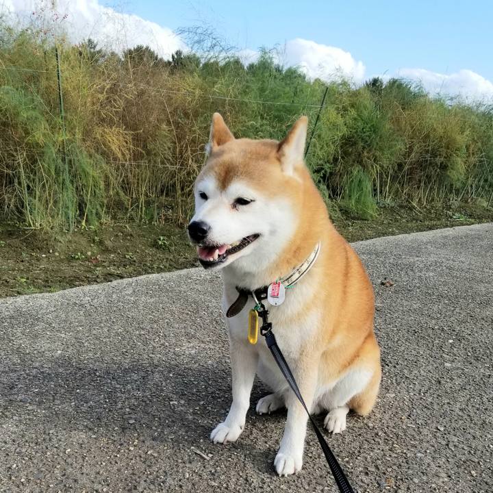 Ef998a81 b400 4504 aba3 c0ced8b1d009 1601963284333