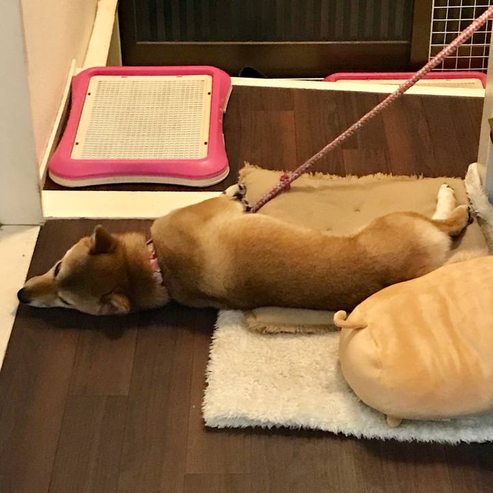 Ef999040 3aa3 47d1 996a a08a7d2d2683 1522759453273