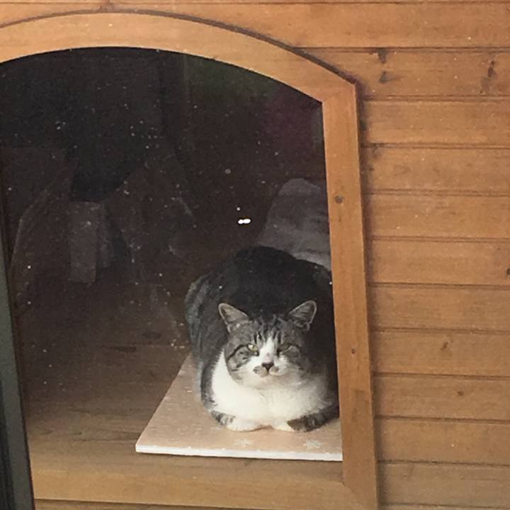 Ef99947d ef3e 4cea b7e6 6f6a51c3e6c7 1516236197851