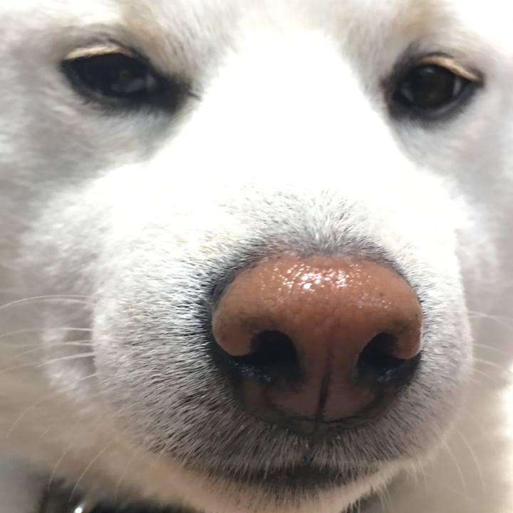 Ef9a068e 1412 431c 8b51 0e80e756824f 1523933066365