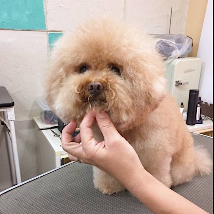 Ef9a09e5 9f3d 4b5d 8e5f ea5225ca7631 1532477587942