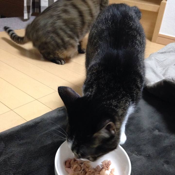 Ef9a1f8d e949 4b7d 9409 29bad68cac61 1509007592736