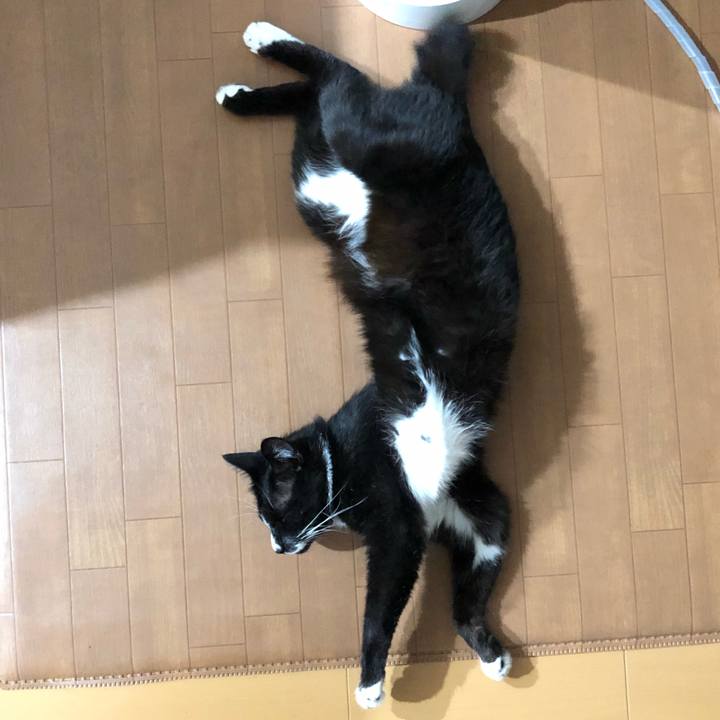 Ef9a2319 64fa 4d97 a3d3 44d83fbcd55d 1594276436568