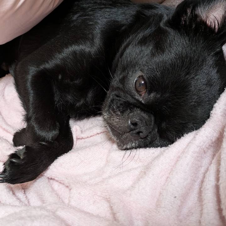 Ef9a2958 9fa2 4b6b 9212 a83ebfa0f666 1769519688549