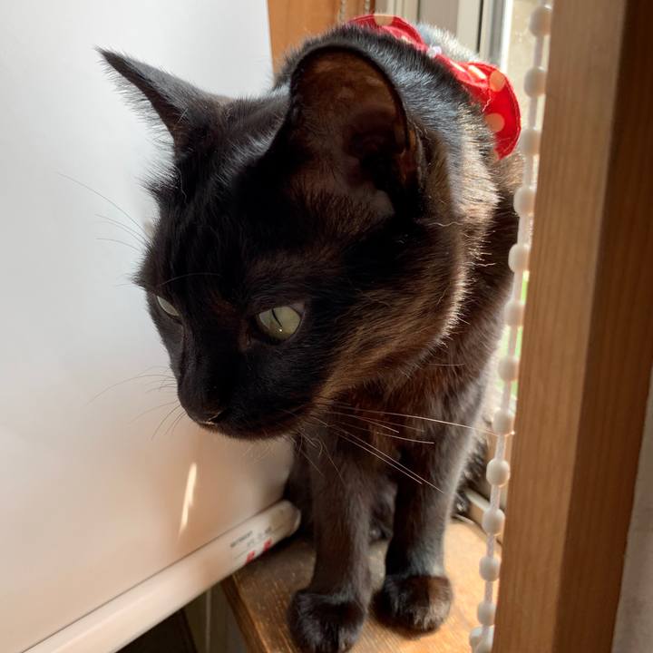 Ef9a32f3 c111 4f62 bf9e 2e2d6f49f322 1562389536242