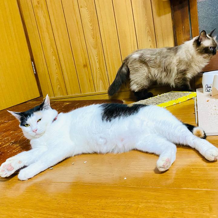 Ef9a56c2 8684 4a4c a168 a51f42f07a99 1695125402230