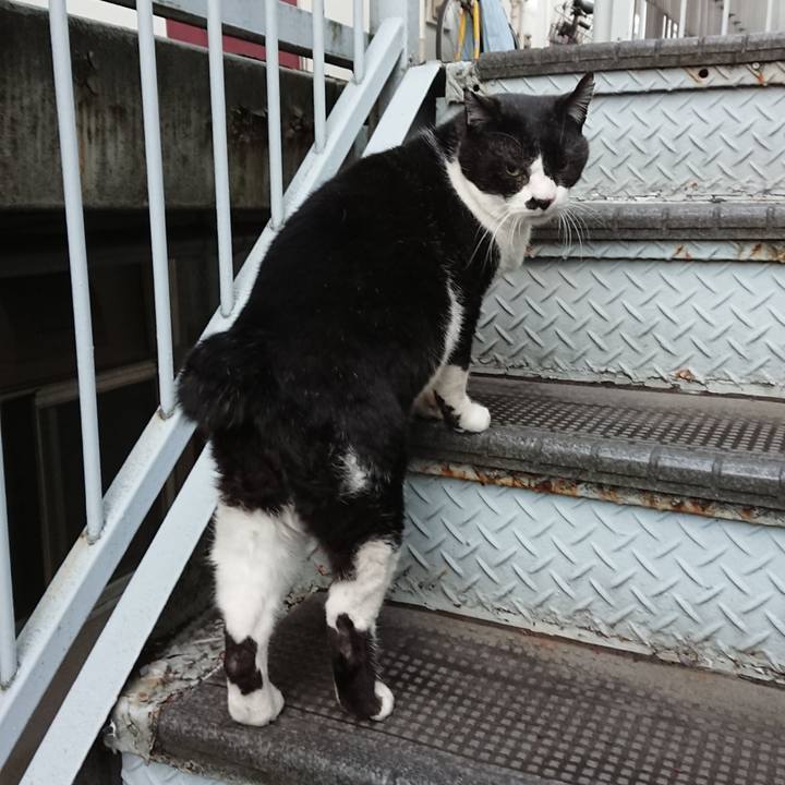 Ef9a7a88 0858 4e5c 9f81 523d12dafe87 1670624935736