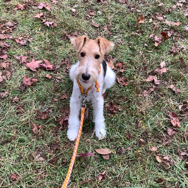 Ef9a8e81 a0e2 470e a5cd 8ceb3311ceb1 1762649145388