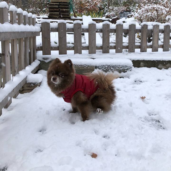 Ef9a9002 9678 4df0 b376 c79191f096ee 1542946637607