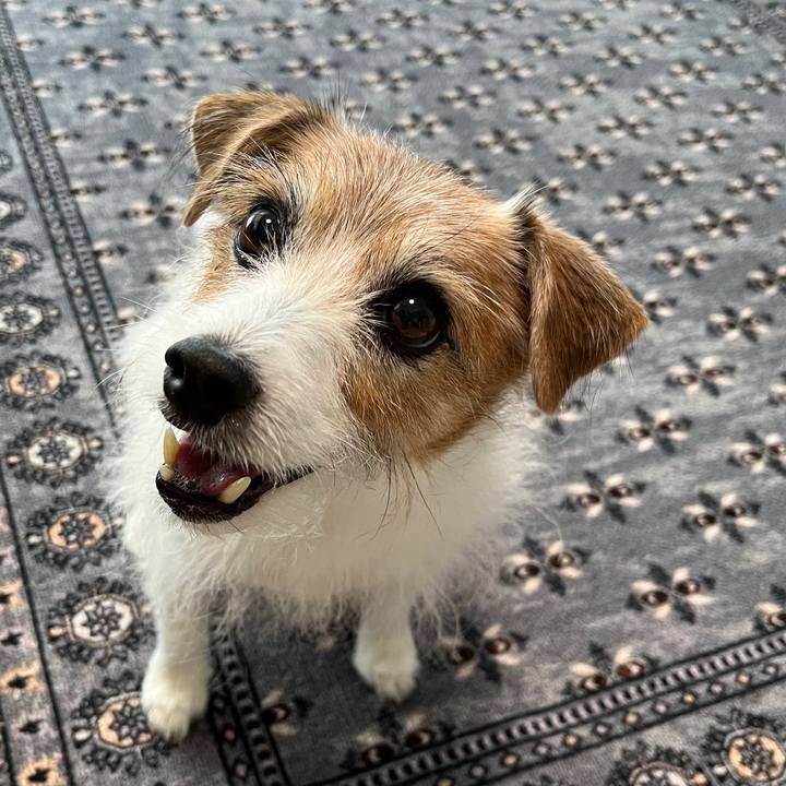 Ef9aa314 55ca 4e7e a15d ab5699acdbb9 1762048878188