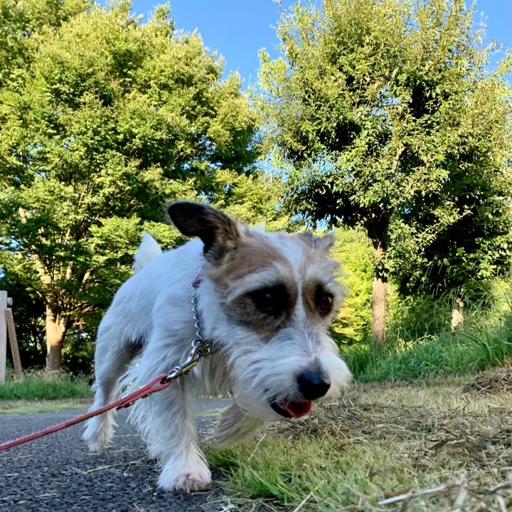 Ef9ab8ec 5f84 485a 9ee2 07e3059b7555 1628219775923