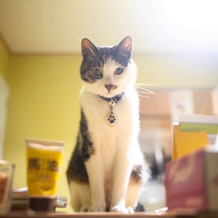 Ef9b0d46 e2b4 43f9 8806 7cf4aa3c3a2c 1595258562913