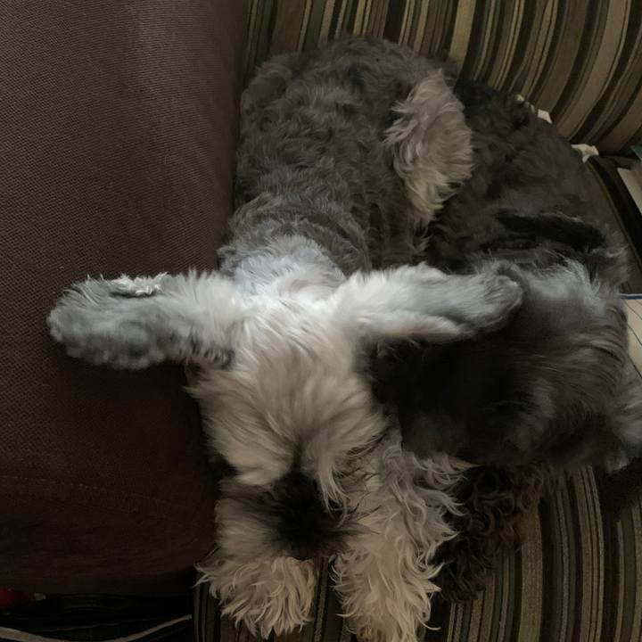 Ef9b470f f0c7 4df3 a50b 0b6601bdeec6 1622357559051