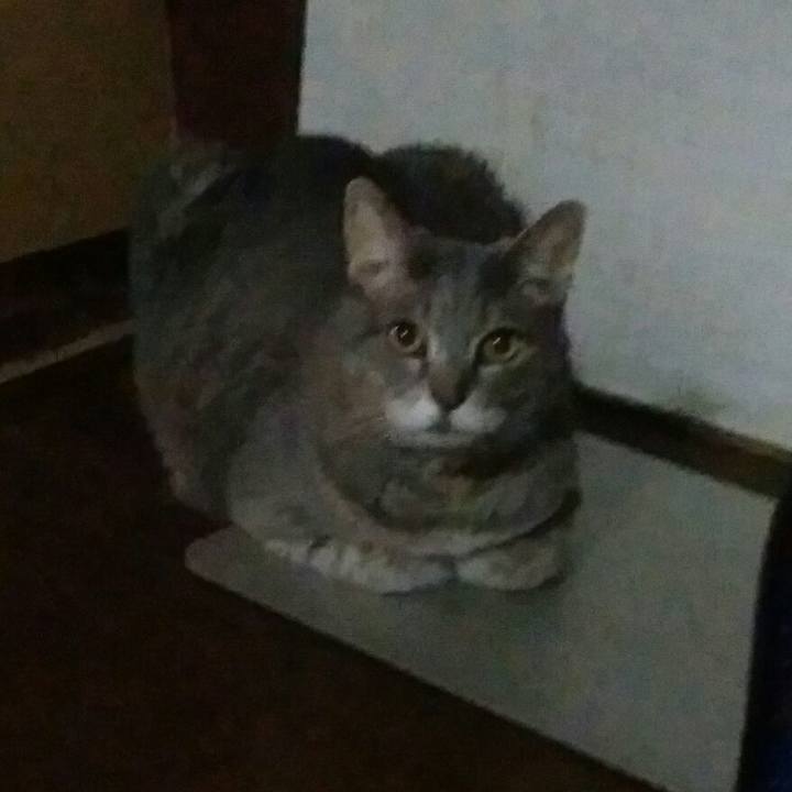 Ef9b813e 48eb 45b4 a2c4 233c56c0e85d 1568415085651