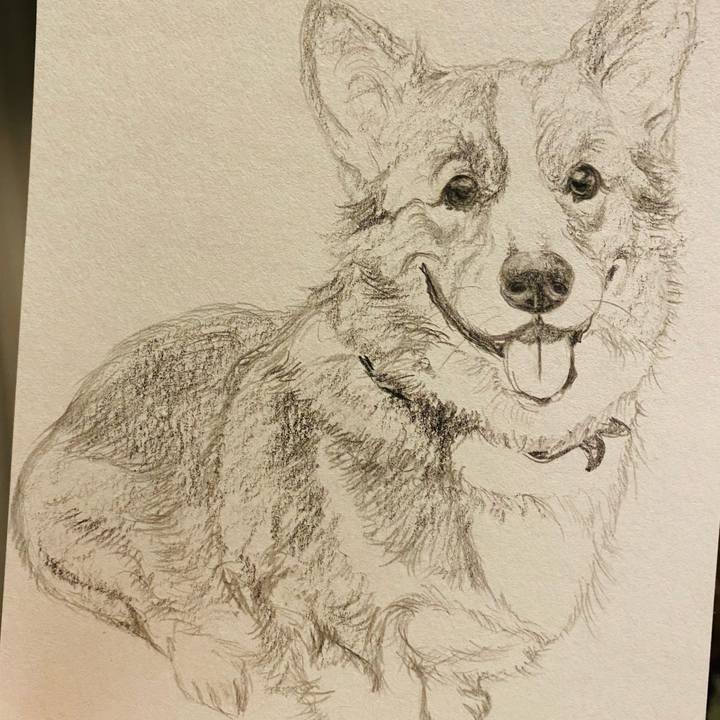 Ef9b94c9 4ad1 44d2 9683 830961a46d09 1653315849619