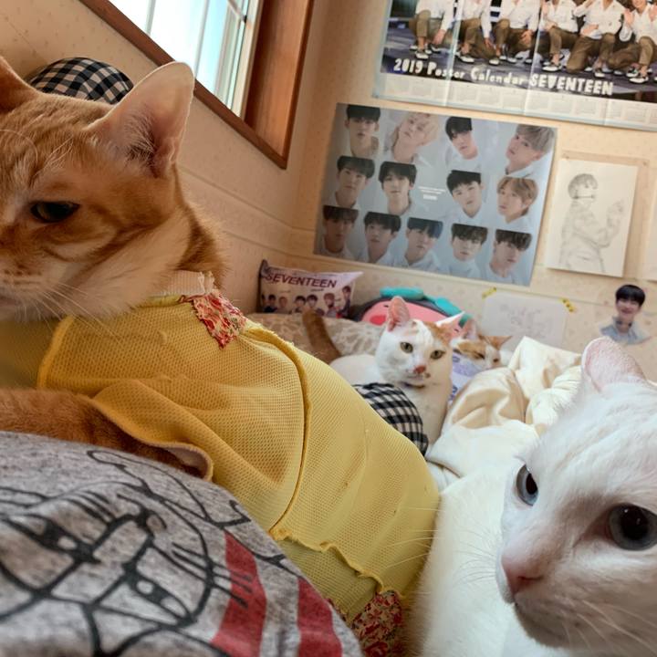 Ef9b9718 1137 4e1e 9603 461d29916ae4 1561555219274