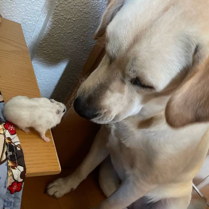 Ef9ba068 0ae8 4cac 8093 83af42c8d7b2 1637887752030