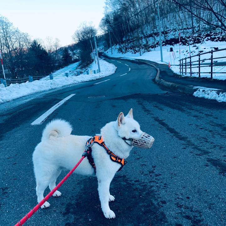 Ef9ba72c 7d80 49fb aa1e 57601ab34c90 1638160533723