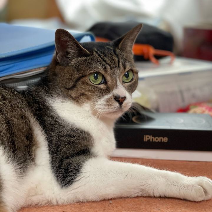 Ef9bc804 07b4 4fc6 9d42 43b9a7b877d9 1663123436097