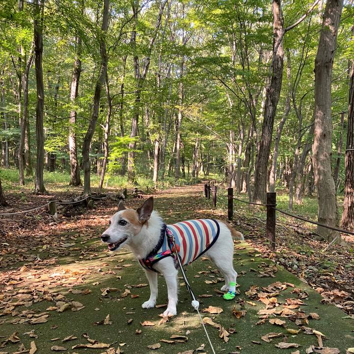 Ef9c2d86 49eb 49ad 9aef 016d57a76be9 1728948045942