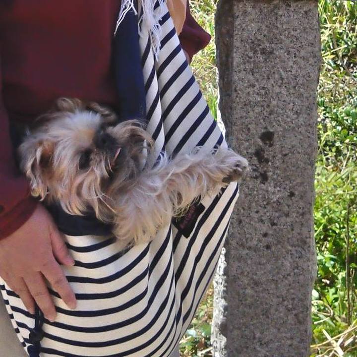 Ef9c42b1 4626 4f3c 8220 25ef45f11d00 1679370021315