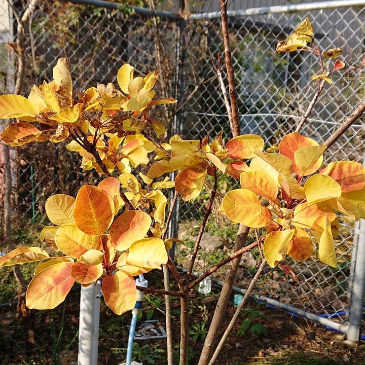 Ef9c5755 7c34 4075 bee3 38c06fe7e418 1576286569546