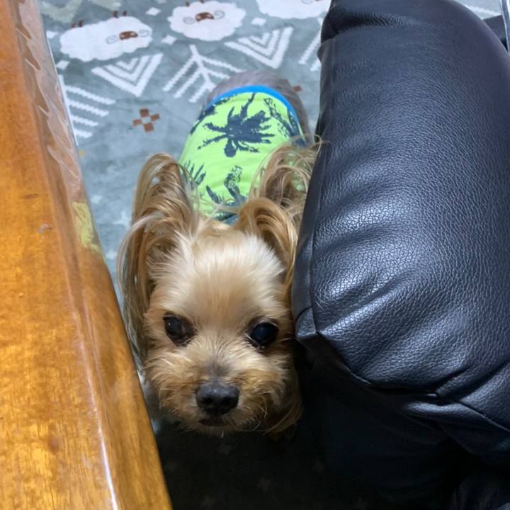 Ef9c8ac7 a42b 40a2 9950 33d24f4632b2 1618393888809