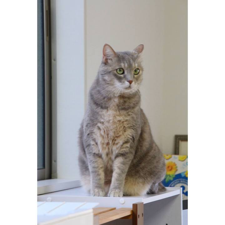 Ef9cb95d a33e 43bf bc6b 5f47c2b5cd5c 1697082789429