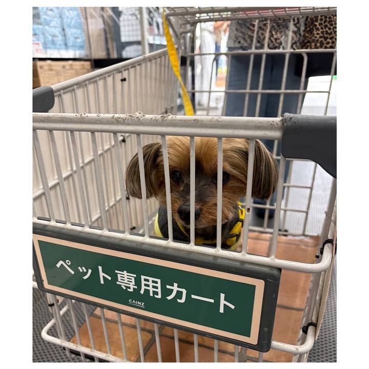 Ef9cd278 4152 4c07 9ad4 b0ff2ec862c2 1759034618427