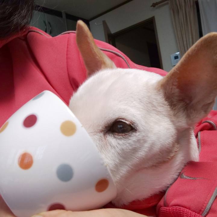 Ef9cd60f b08b 4874 b6c5 80001ba567d0 1542582506383