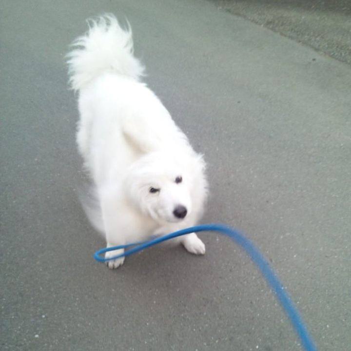 Ef9cf8b6 c968 4c0f a617 6d613db72225 1677527591700