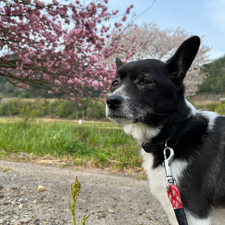 Ef9d081d 2986 47eb 8a1e 54f4b9eec359 1650499105683