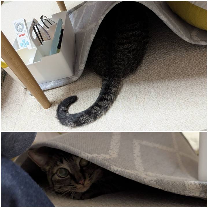 Ef9d2d9a a5d4 4527 80ff 22d698028458 1747460955932