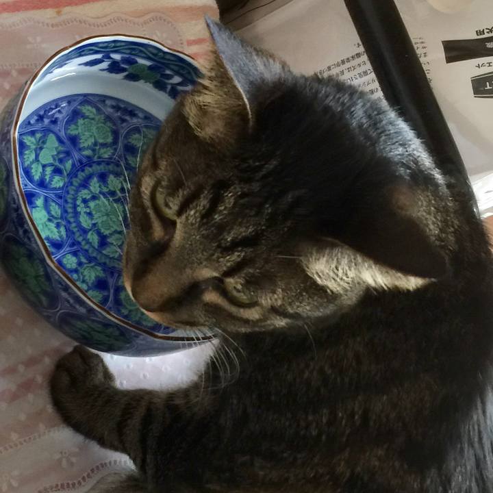 Ef9d3548 738f 4e9d acc3 0fd3b0da9ab7 1566689507821