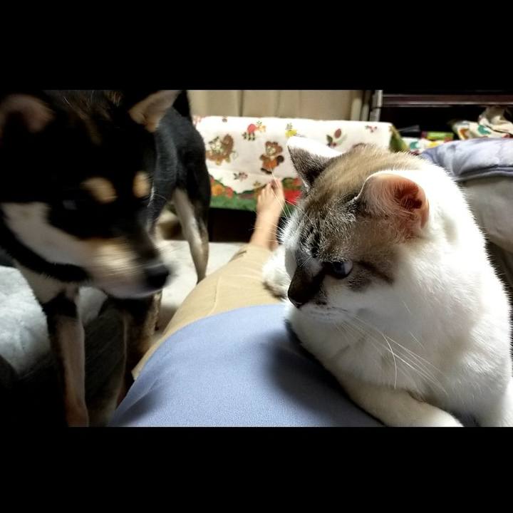 Ef9d3c7f d9ef 49e2 b9ab b51f22c3a913 1607159139697