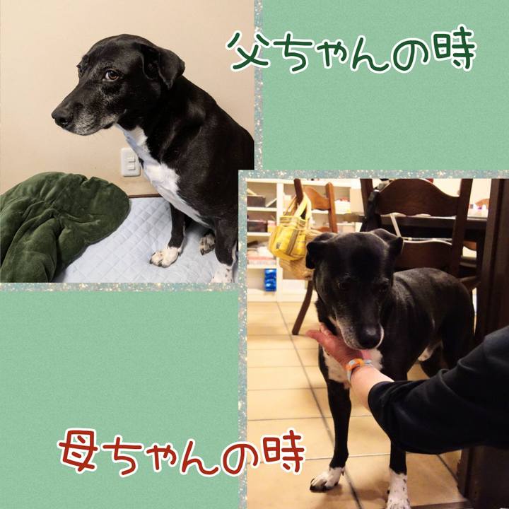 Ef9d4a99 f60b 4b16 b7e6 0acf1d66861a 1747998176134