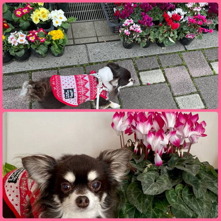 Ef9d7269 be46 4ff2 8c54 8dc565152ed6 1639796360907