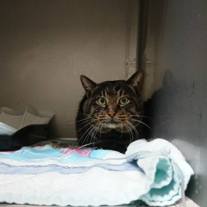 Ef9d8cf4 02b1 4f11 8b9e 985e17726df2 1548420377483