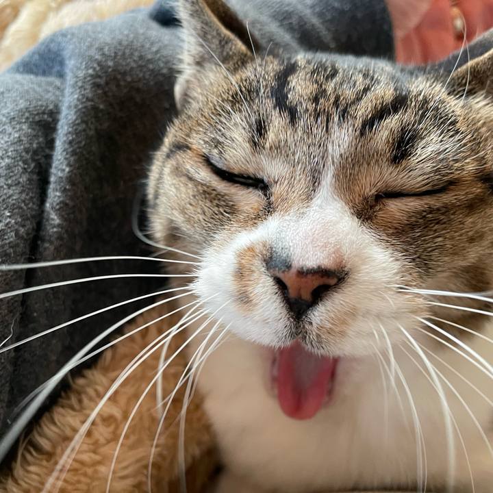 Ef9d99e0 b55e 43c6 9566 c0656248091a 1643682532103