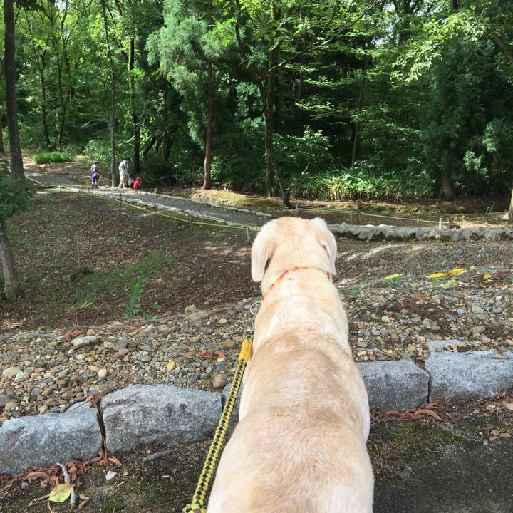 Ef9daf41 0dea 444a 9856 16f162415426 1534213276709