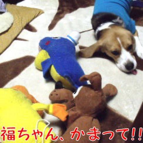 Ef9db629 a0de 434b 809d 071b92cf4d1b 1709858627383