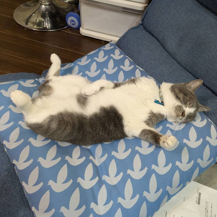 Ef9dc164 17ab 42b7 bb05 675707bea358 1748530819964