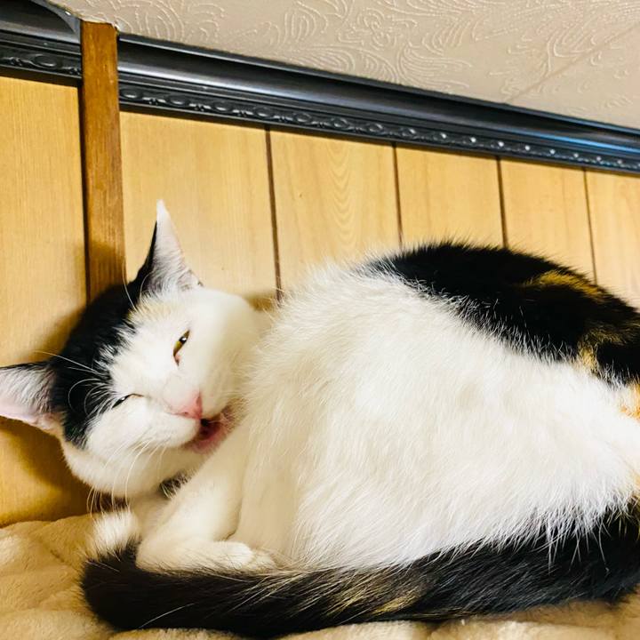 Ef9deb15 80d8 40c7 afe5 044b110792a0 1666700967821