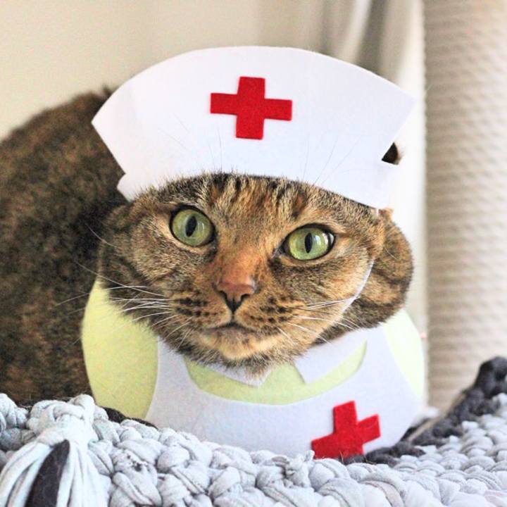 Ef9e03cb 7f00 40a1 819f 26924a25d8a6 1586899529598