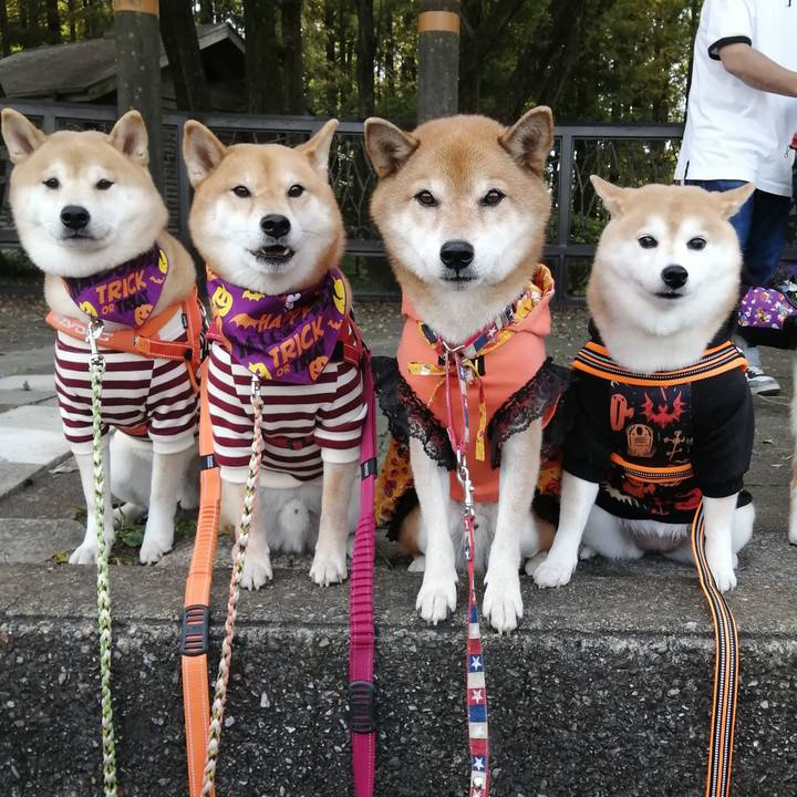 Ef9e04ad 9d52 4113 8d16 9ba1091e1c31 1666709847642