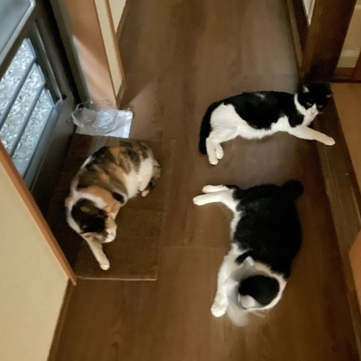 Ef9e0693 87a5 4d9c af9e 92c107c7d3f1 1723557643949